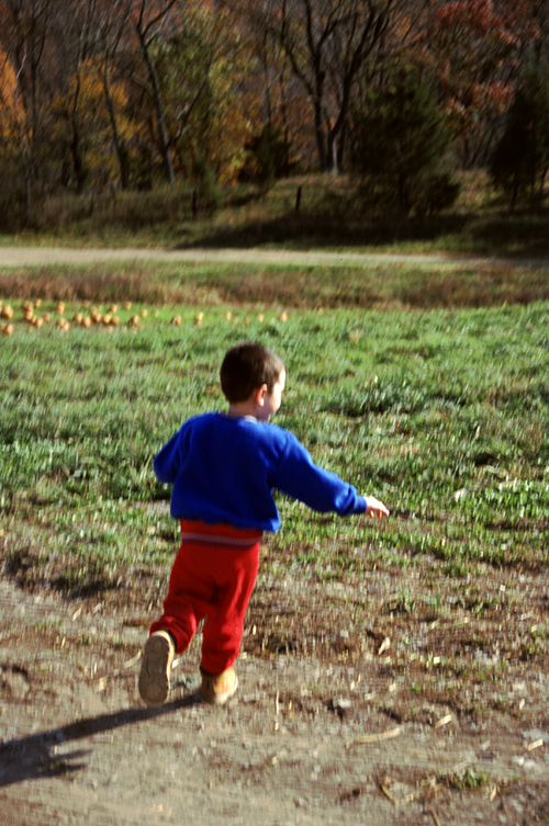 01-10-20, 12, Mikey and Pumkins, Pumkin Picking Farm, NJ