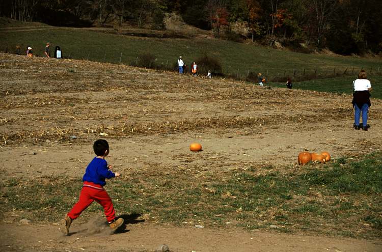 01-10-20, 17, Mikey and Pumkins, Pumkin Picking Farm, NJ