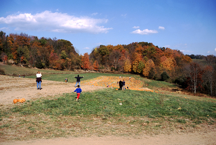 01-10-20, 18, Mikey and Pumkins, Pumkin Picking Farm, NJ