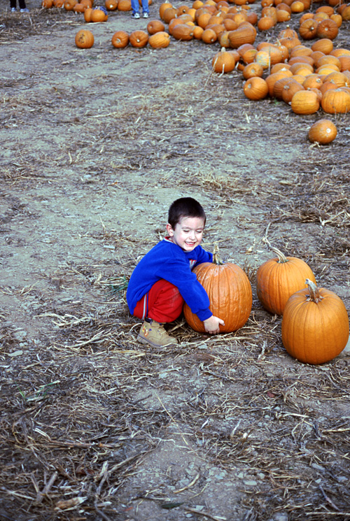 01-10-20, 31, Mikey and Pumkins, Pumkin Picking Farm, NJ