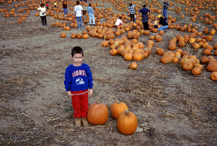 01-10-20, 32, Mikey and Pumkins, Pumkin Picking Farm, NJ