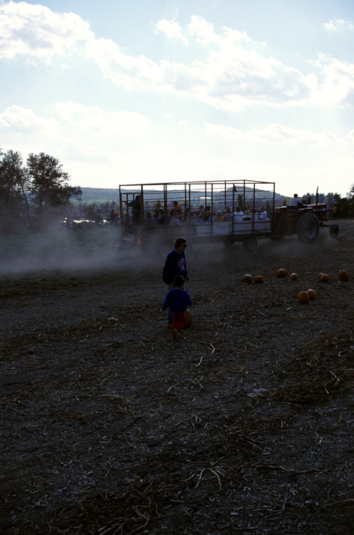 01-10-20, 36, Mikey and Pumkins, Pumkin Picking Farm, NJ