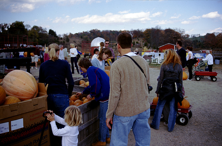 01-10-20, 38, Mikey and Pumkins, Pumkin Picking Farm, NJ