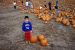 01-10-20, 32, Mikey and Pumkins, Pumkin Picking Farm, NJ