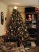 01-12-25, 02, Christmas, Tree, Saddle Brook, NJ