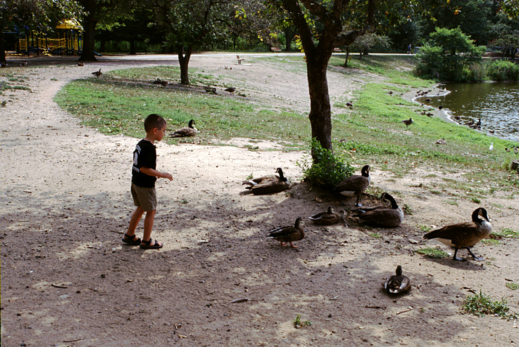 02-08-23, 09, Mikey trying to catch a Duck, SR Park, NJ