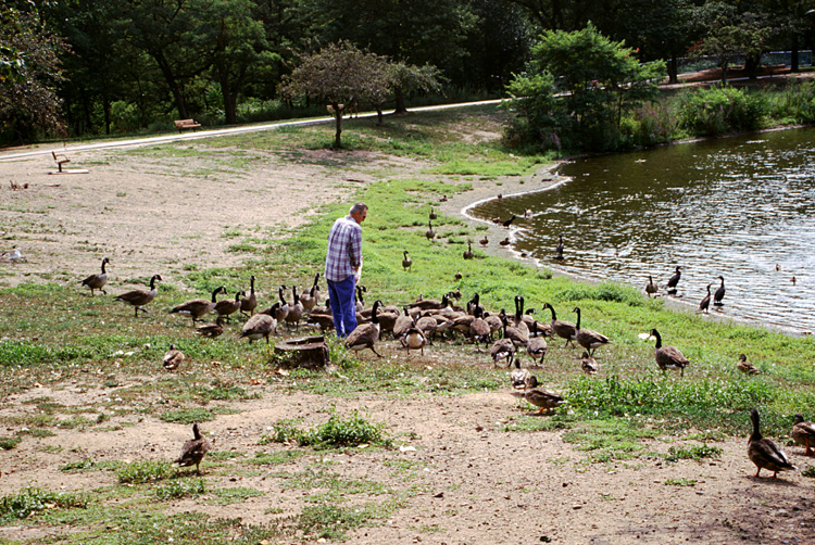 02-08-23, 12, Feeding the Ducks and Geese, SR Park, NJ