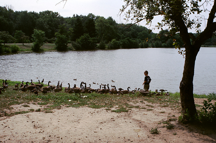 02-08-23, 13, Mikey trying to catch a Duck, SR Park, NJ