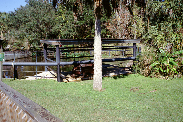 02-12-22, 29, Florida Central Zoo, Florida