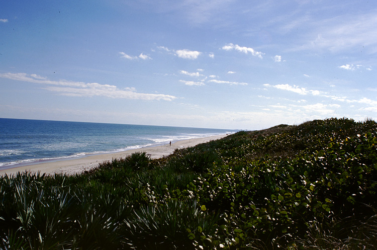 02-12-24, 01, Canaveral National Seashore, Florida