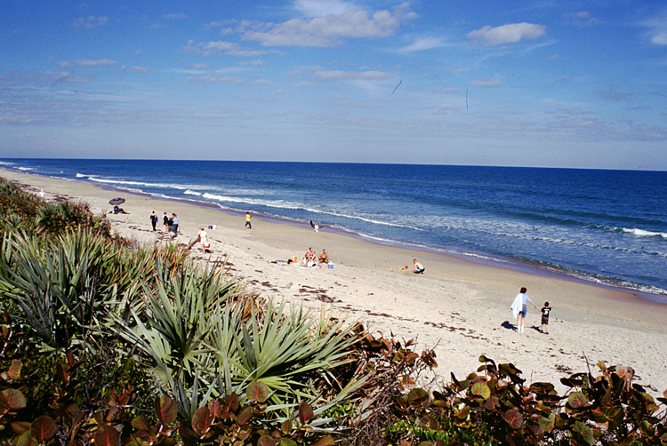 02-12-24, 02, Canaveral National Seashore, Florida