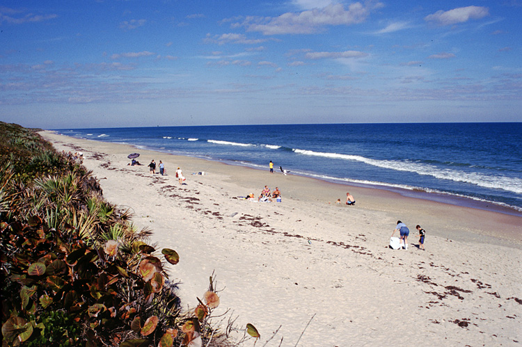 02-12-24, 03, Canaveral National Seashore, Florida