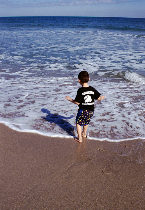 02-12-24, 08, Canaveral National Seashore, Florida