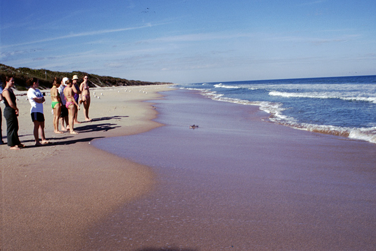 02-12-24, 11, Canaveral National Seashore, Florida