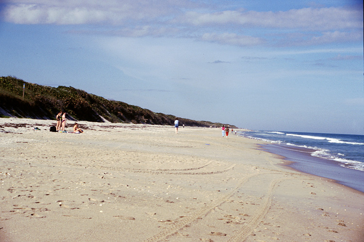 02-12-24, 15, Canaveral National Seashore, Florida