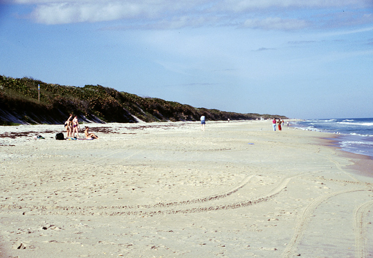 02-12-24, 16, Canaveral National Seashore, Florida