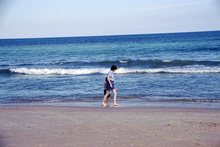 02-12-24, 17, Canaveral National Seashore, Florida