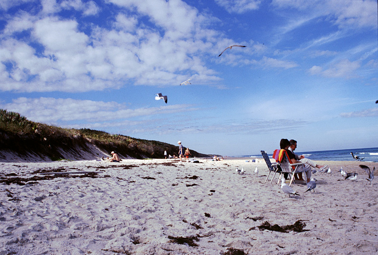 02-12-24, 19, Canaveral National Seashore, Florida