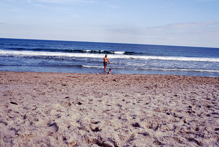 02-12-24, 22, Canaveral National Seashore, Florida