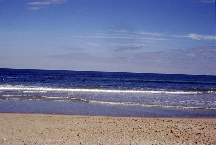 02-12-24, 25, Canaveral National Seashore, Florida