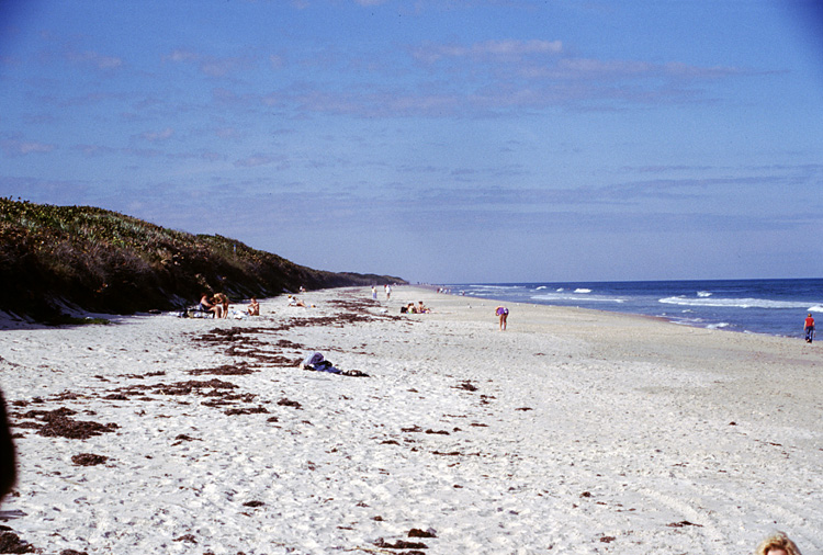 02-12-24, 26, Canaveral National Seashore, Florida