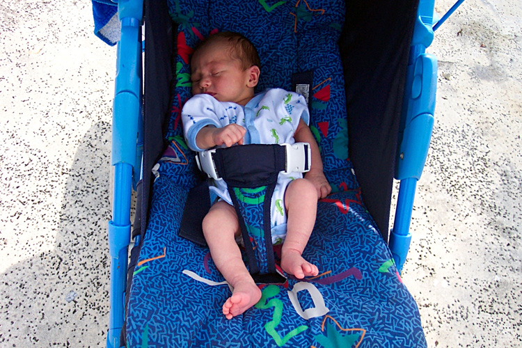 03-03-15, 06, Connor, Winter Park, Fl
