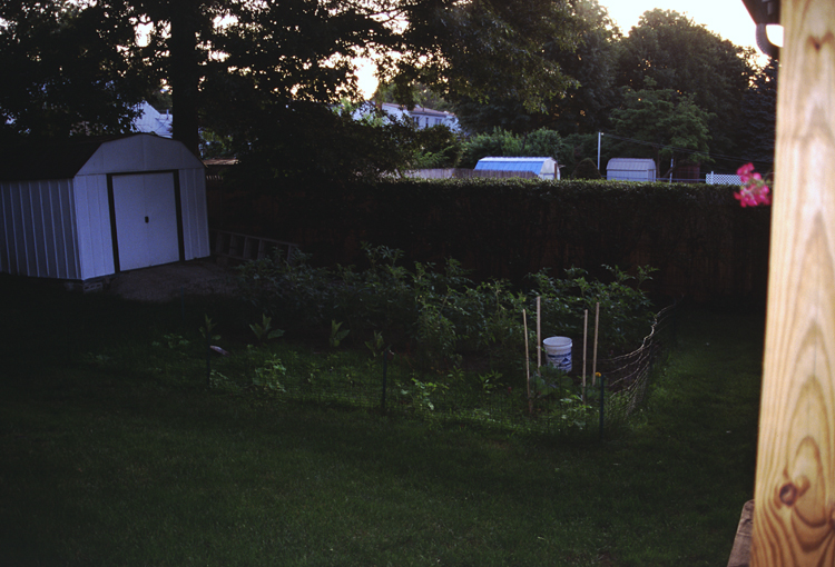 04-06-14, 02, Back Yard, Saddle Brook, NJ