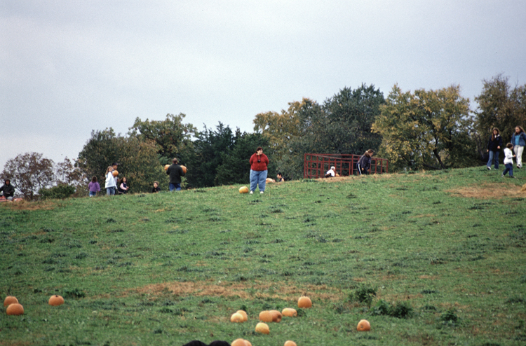 04-10-16, 01, Janice, Pumpkin Picking, New Jersey