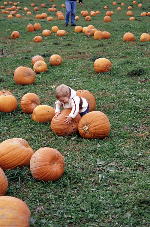 04-10-16, 02, Connor selecting a pumpkin, New Jersey