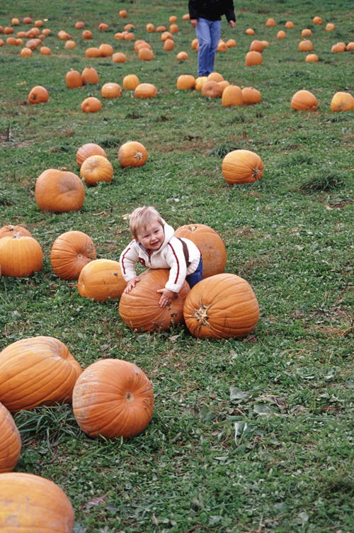 04-10-16, 03, Connor selecting a pumpkin, New Jersey