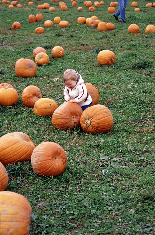 04-10-16, 04, Connor selecting a pumpkin, New Jersey