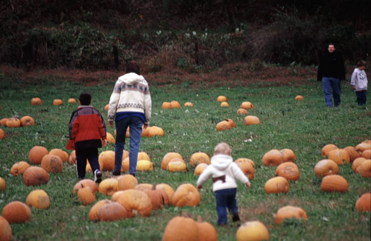 04-10-16, 08, Mikey, Linda, and Connor selecting pumpkins, New Jersey