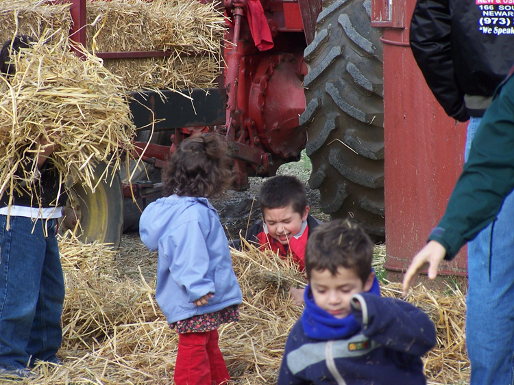 04-10-16, 22, Mikey hiding in the Hay, New Jersey