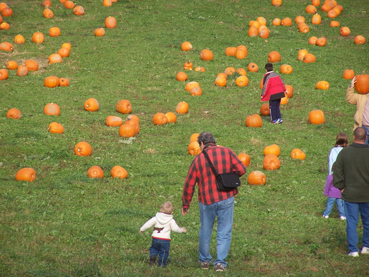 04-10-16, 27, Connor, Gerry, and Mikey pumpkin picking, New Jersey