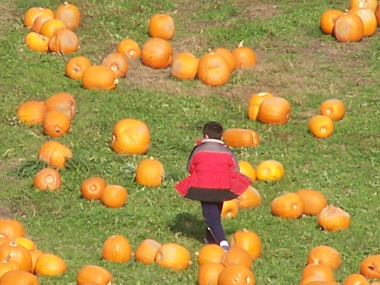 04-10-16, 28, Mikey selecting a pumpkin, New Jersey