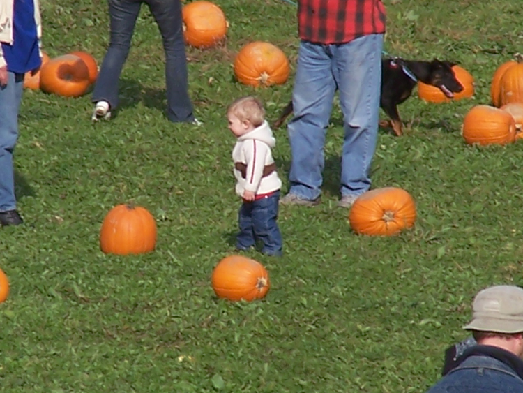 04-10-16, 29, Connor selecting a Pumpkin, New Jersey