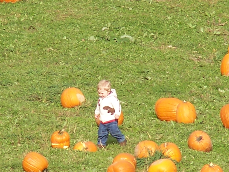 04-10-16, 30, Connor selecting a Pumpkin, New Jersey