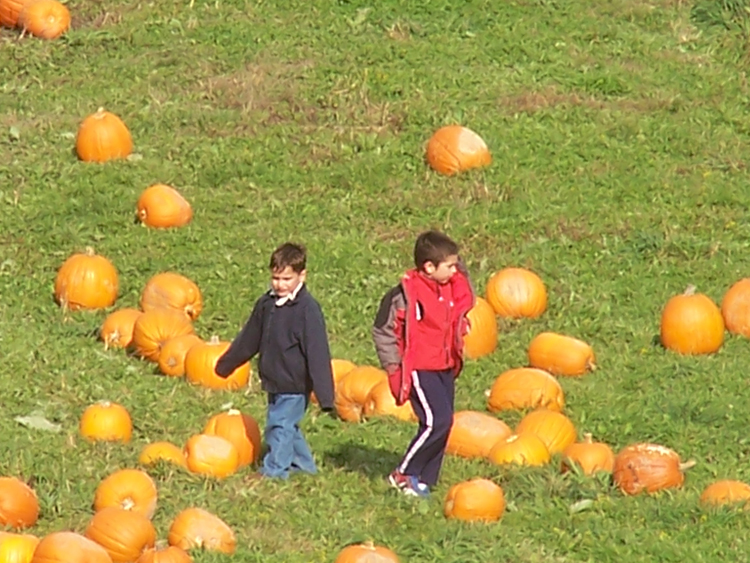 04-10-16, 31, Mikey selecting a pumpkin, New Jersey