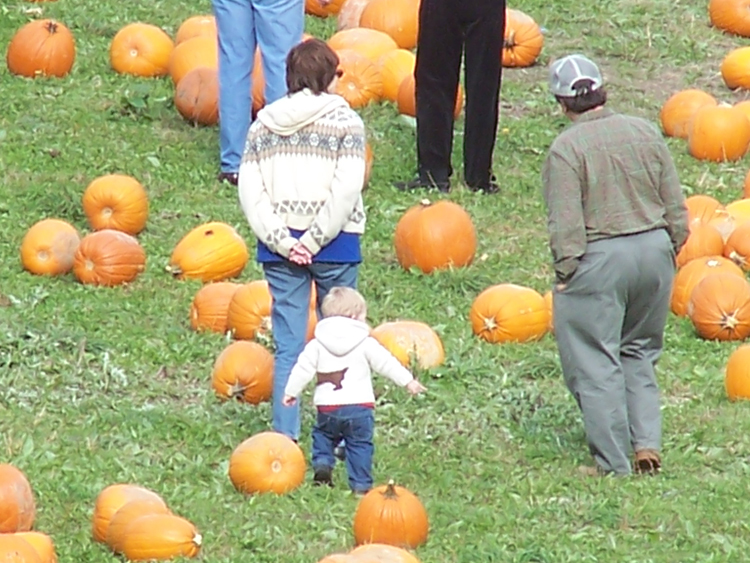 04-10-16, 33, Linda, Connor, and Mike selecting a Pumpkin, New Jersey