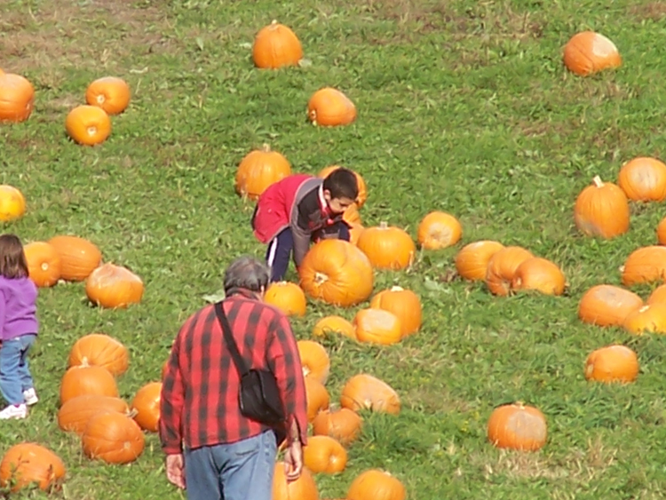 04-10-16, 34, Gerry and Mikey selecting a pumpkin, New Jersey