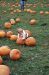 04-10-16, 02, Connor selecting a pumpkin, New Jersey