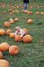 04-10-16, 03, Connor selecting a pumpkin, New Jersey