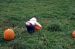 04-10-16, 05, Connor selecting a pumpkin, New Jersey