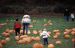 04-10-16, 08, Mikey, Linda, and Connor selecting pumpkins, New Jersey