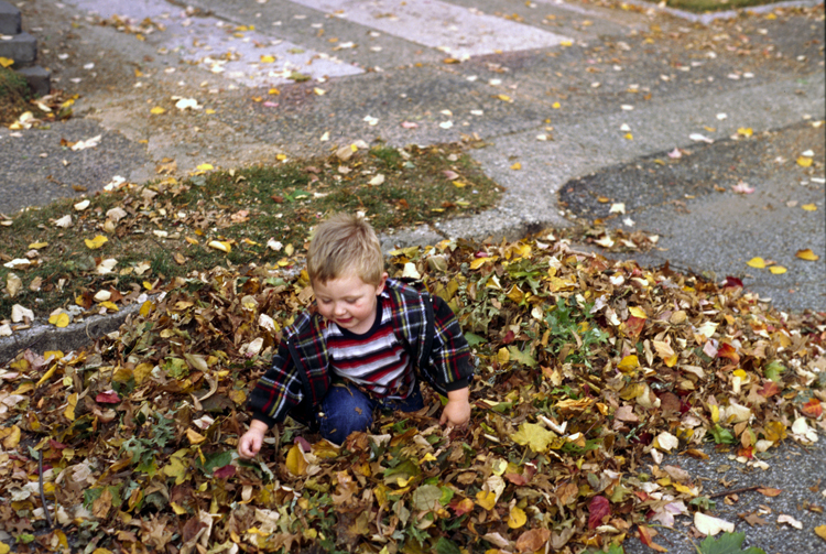 05-11-13, 02, Connor in the Leaves, Saddle Brook, NJ