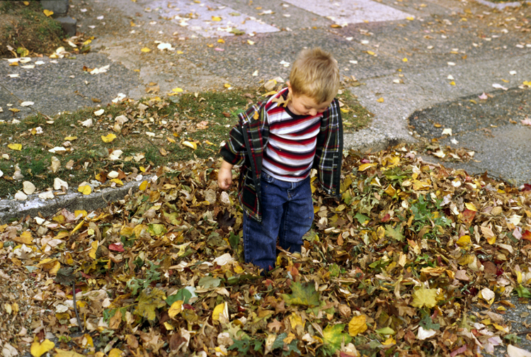 05-11-13, 04, Connor in the Leaves, Saddle Brook, NJ