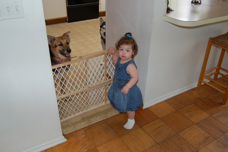 06-02-25, 22, Kaitlyn with dogs, Maitland, Fl