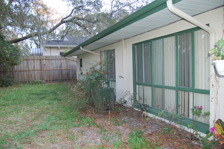 06-02-25, 27, Back of the house, Maitland, Fl