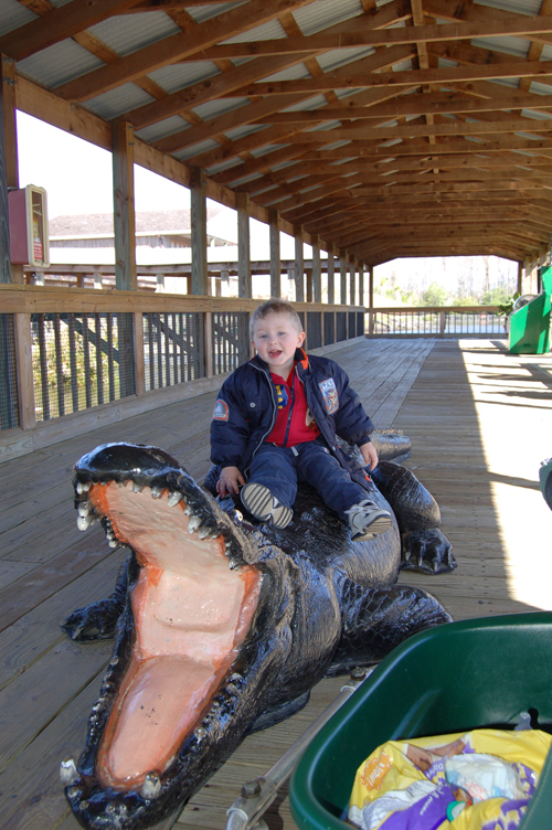 06-02-27, 09, Connor, Gator Land, Fl