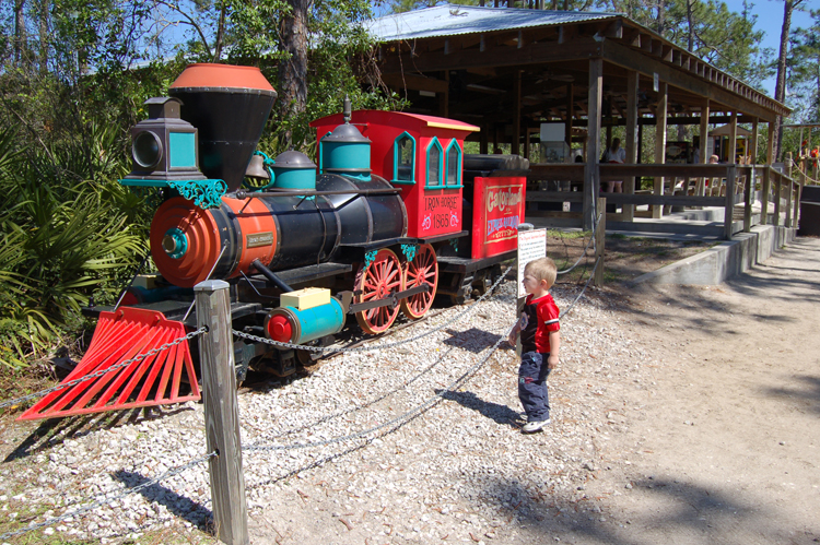 06-02-27, 32, Connor looking at Train, Gator Land, Fl